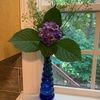 maeflower530
